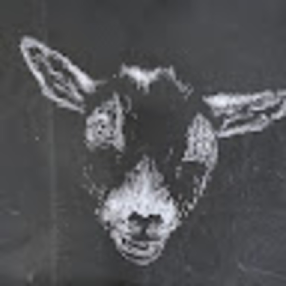 Meet your Posher, Lazy goat